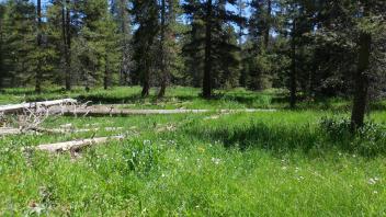 Middle Transect Overview (left to right)