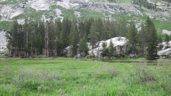 Middle Transect Overview (left to right)