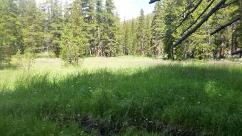 Middle Transect Overview (left to right)