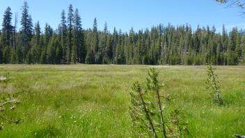 Middle Transect Overview (left to right)
