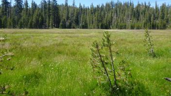 Middle Transect Overview (left to right)