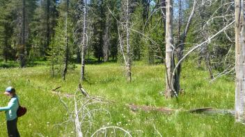 Middle Transect Overview (left to right)