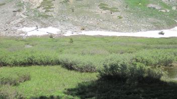 Middle Transect Overview (left to right)