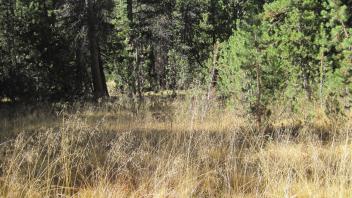 Middle Transect Overview (right to left)