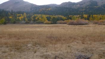 Middle Transect Overview (right to left)