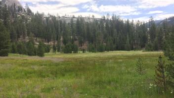 Middle Transect Overview (right to left)