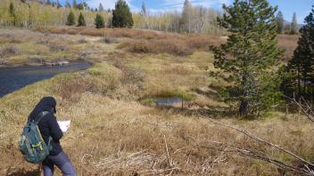 Middle Transect Overview (right to left)