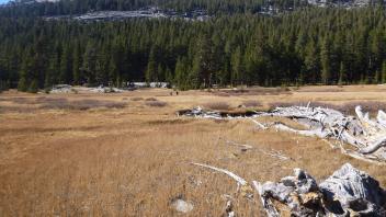 Middle Transect Overview (right to left)