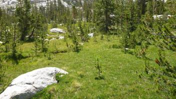 Middle Transect Overview (right to left)