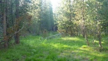Middle Transect Overview (right to left)