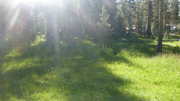 Middle Transect Overview (right to left)