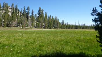 Middle Transect Overview (right to left)