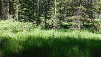 Middle Transect Overview (right to left)