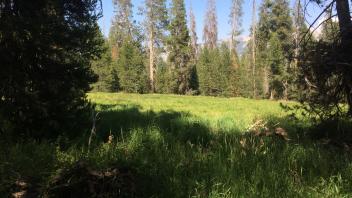 Middle Transect Overview (right to left)