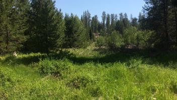 Middle Transect Overview (right to left)