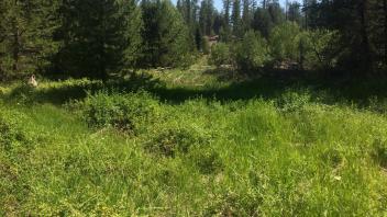 Middle Transect Overview (right to left)