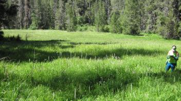 Middle Transect Overview (right to left)