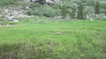 Middle Transect Overview (right to left)