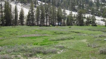 Middle Transect Overview (right to left)