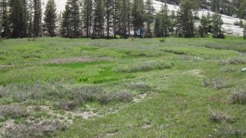 Middle Transect Overview (right to left)