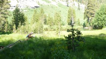 Middle Transect Overview (right to left)