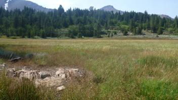 Middle Transect Overview (right to left)