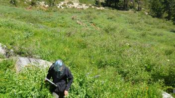 Middle Transect Overview (right to left)