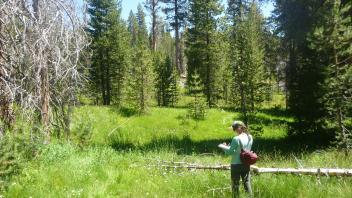 Middle Transect Overview (right to left)