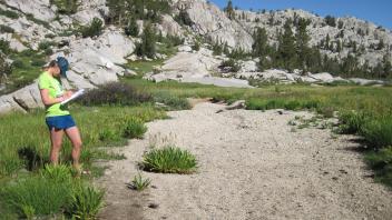 Middle Transect Right to Left Channel 2 Downstream