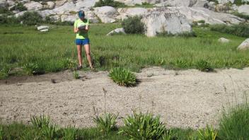 Middle Transect Right to Left Channel 2 Upstream