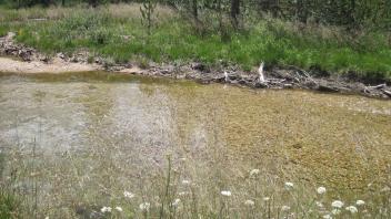Middle Transect Right to Left Channel Across