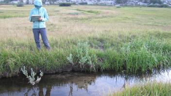 Middle Transect Right to Left Channel Across