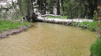 Middle Transect Right to Left Downstream