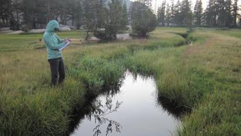 Middle Transect Right to Left Downstream