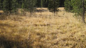 Middle Transect Right to Left Overview