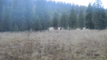 Middle Transect Right to Left Overview