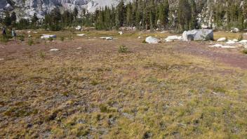 Middle Transect Right to Left Overview