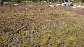 Middle Transect Right to Left Overview