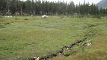 Middle Transect Right to Left Overview