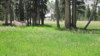 Middle Transect Right to Left Overview