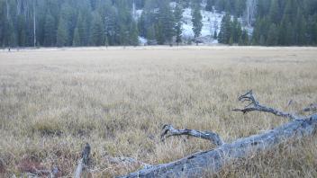 Middle Transect Right to Left Overview
