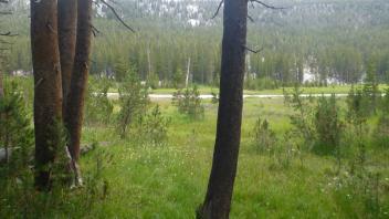 Middle Transect Right to Left Overview