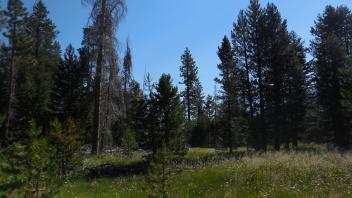Middle Transect Right to Left Overview