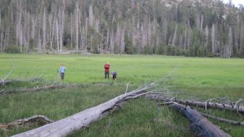 Middle Transect Right to Left Overview