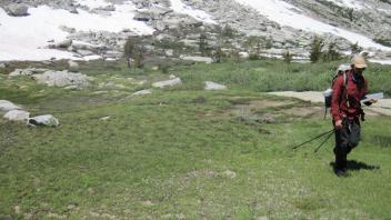 Middle Transect Right to Left Overview