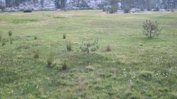 Middle Transect Right to Left Overview