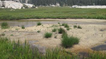 Middle Transect Right to Left Overview