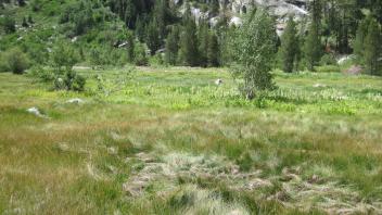 Middle Transect Right to Left Overview