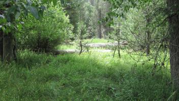 Middle Transect Right to Left Overview