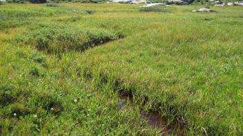 Middle Transect Right to Left Upstream
